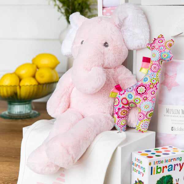 Baby Bundle Girl Baby Hamper