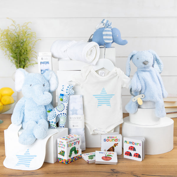 Baby Bundle Boy Baby Hamper