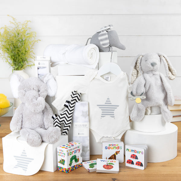 Baby Bundle Unisex Baby Gift Basket