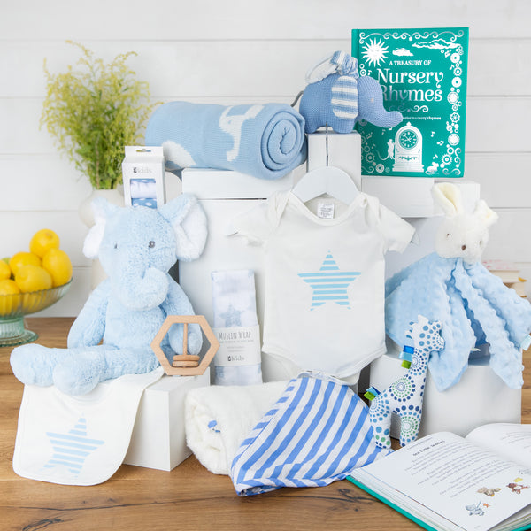 Elephant Snuggles Baby Boy Hamper