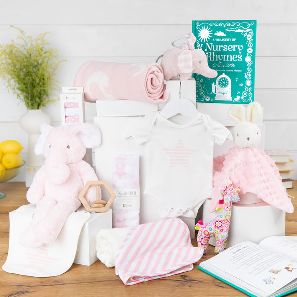 Elephant Snuggles Baby Girl Hamper