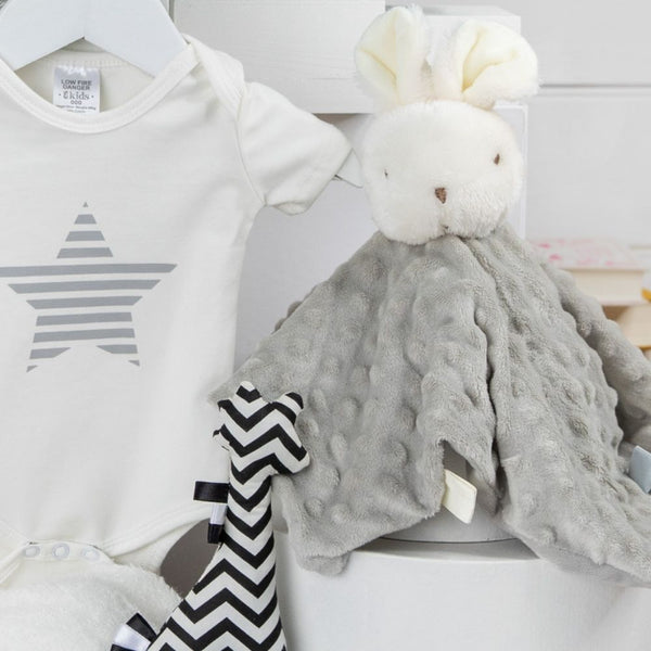 Elephant Snuggles Unisex Baby Hamper