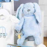 Magical Beginnings Baby Boy Gift BasketMagical Beginnings Baby Boy Gift Hamper