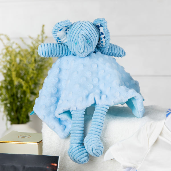 Moet Delight Baby Boy Hamper