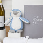 Penguin Keepsake Boy Baby Hamper