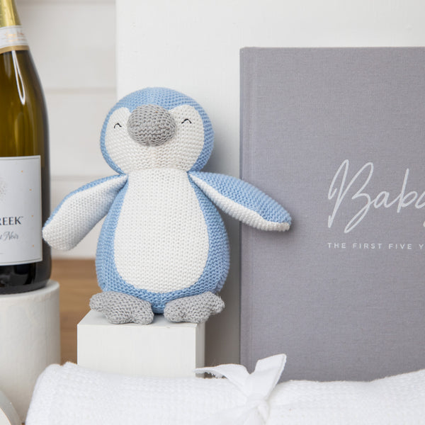Penguin Keepsake Boy Baby Hamper