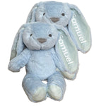 Personalised Twins Gift