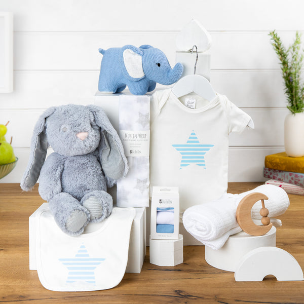 Precious Cargo Boy Baby Hamper