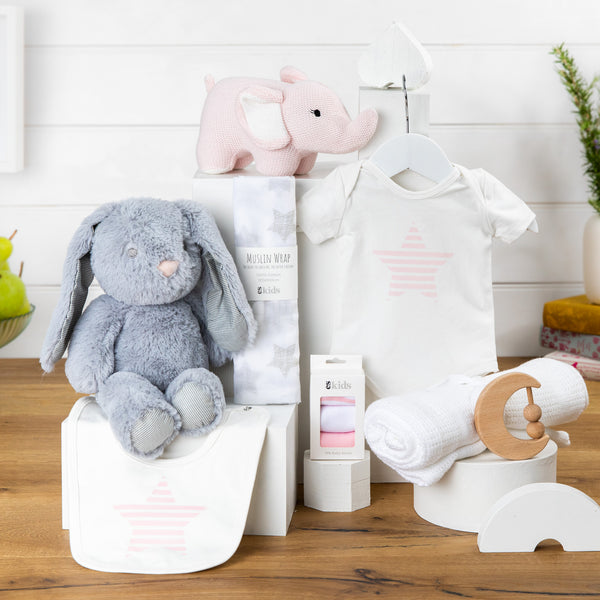 Precious Cargo Girl Baby Hamper