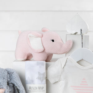 Precious Cargo Girl Baby Hamper