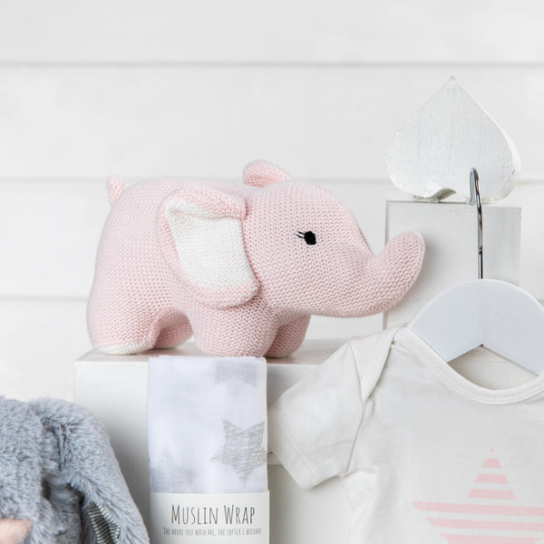 Precious Cargo Girl Baby Hamper