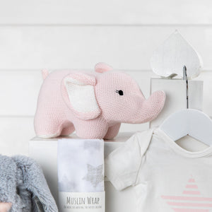 Precious Cargo Girl Baby Hamper