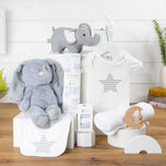 Precious Cargo Unisex Baby Hamper
