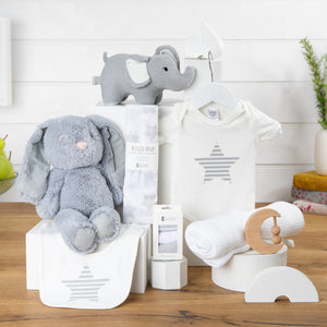 Precious Cargo Unisex Baby Hamper