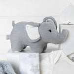 Precious Cargo Unisex Baby Hamper