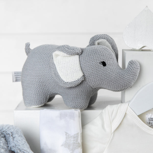 Precious Cargo Unisex Baby Hamper