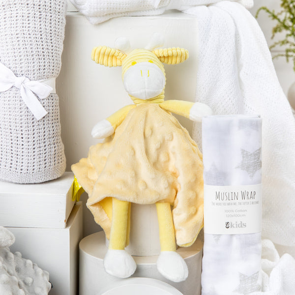 Twins Classic Unisex Baby Hamper
