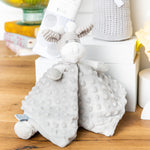 Twins Classic Unisex Baby Hamper